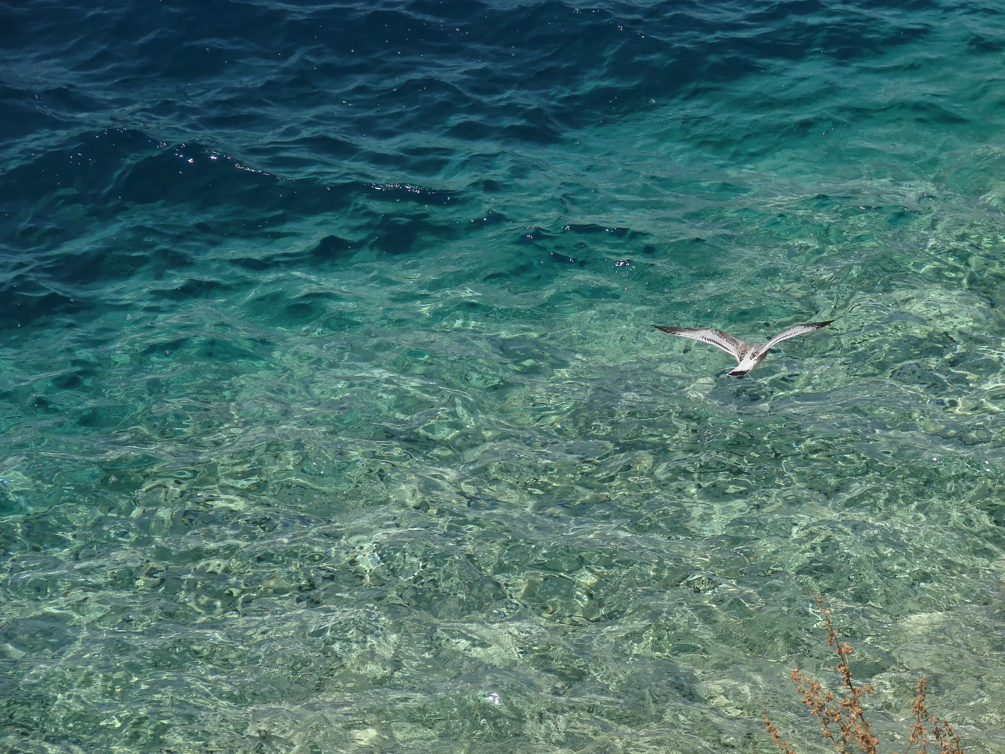 Lastovo coastline
